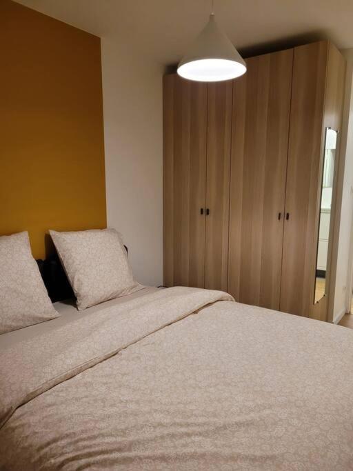 Apartment L'univers Au Blanc. Strasbourg
