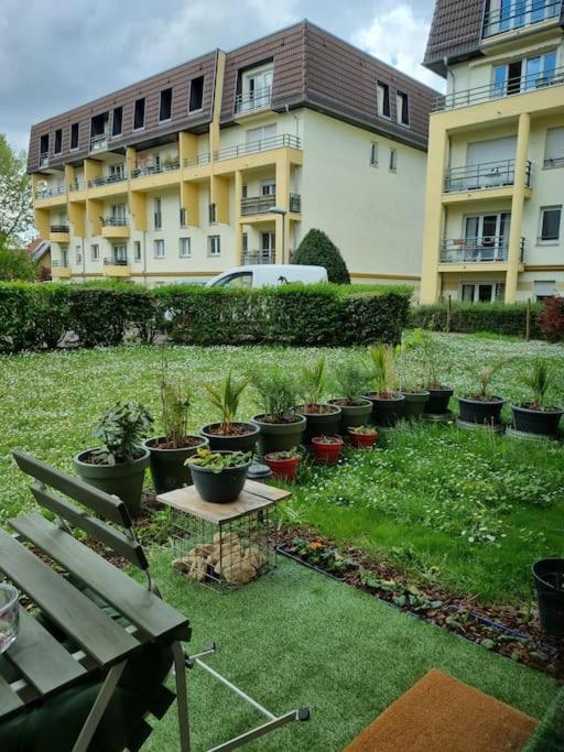 Apartment L'univers Au Blanc. Strasbourg